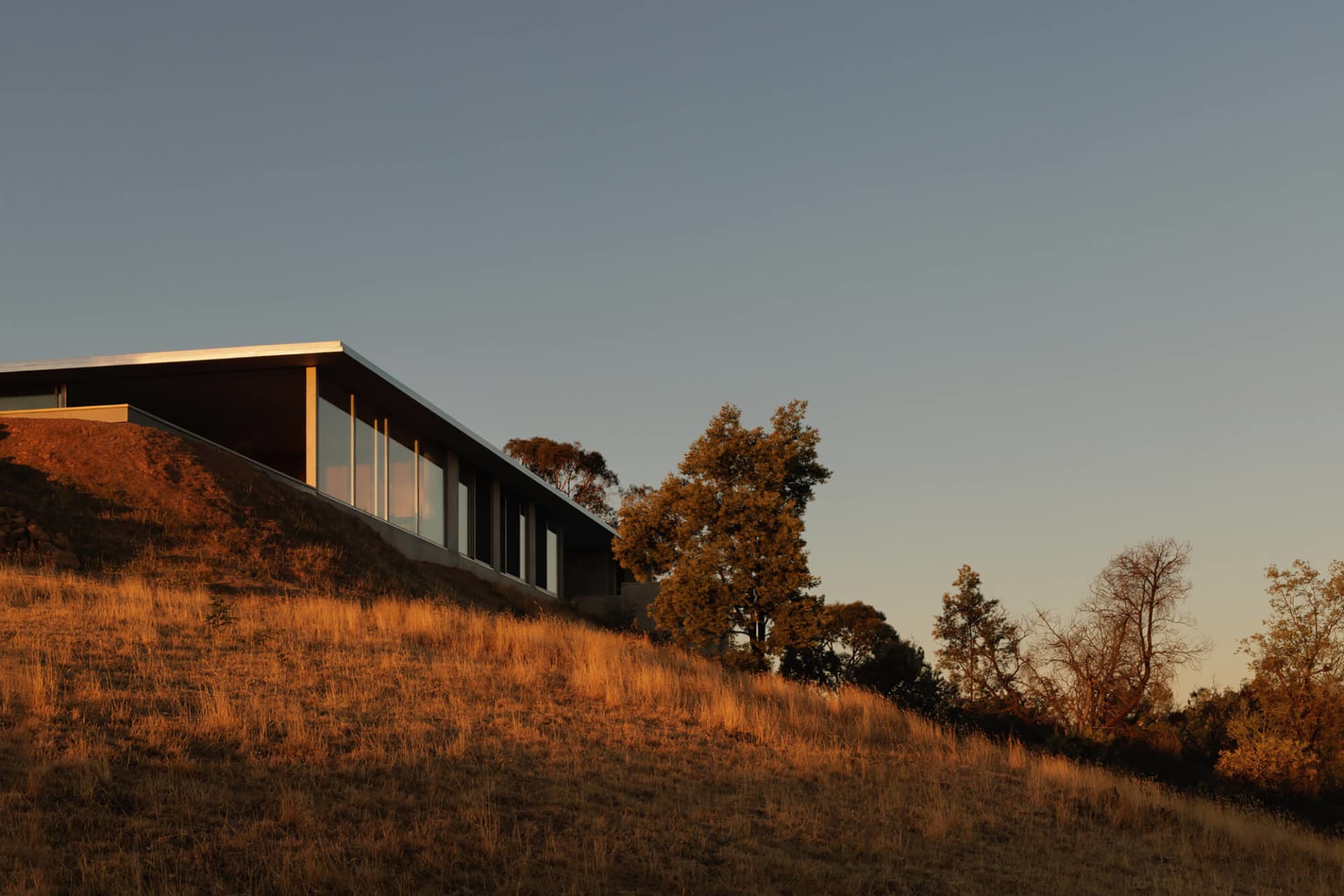 Modern single-story concrete and glass house built into a dry grass hillside during warm golden hour sunset, surrounded by oak trees under a clear blue sky.