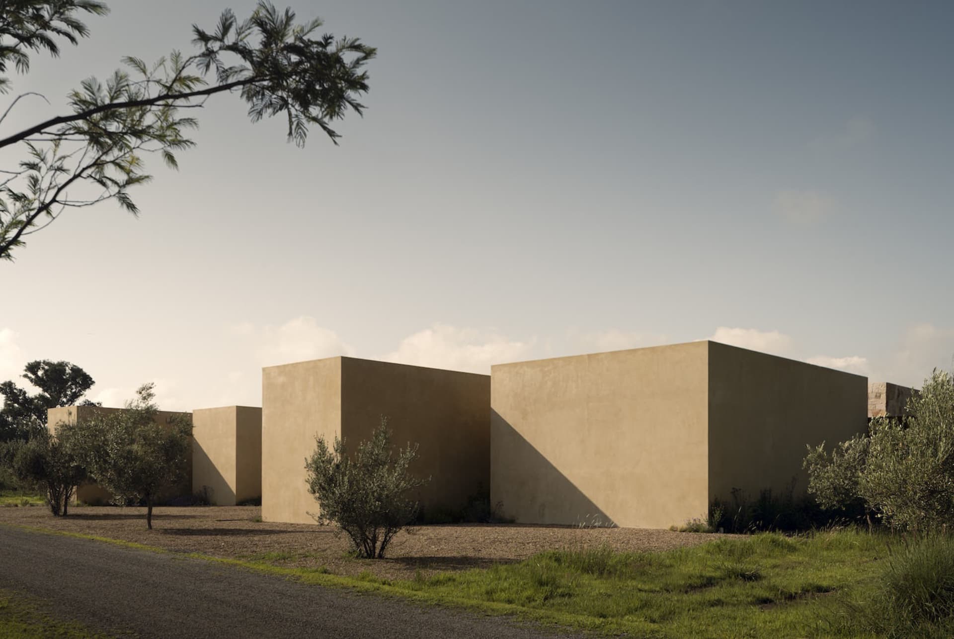 Modern minimalist rammed earth courtyard houses with clean geometric forms surrounded by olive trees and native vegetation under a clear sky at golden hour.