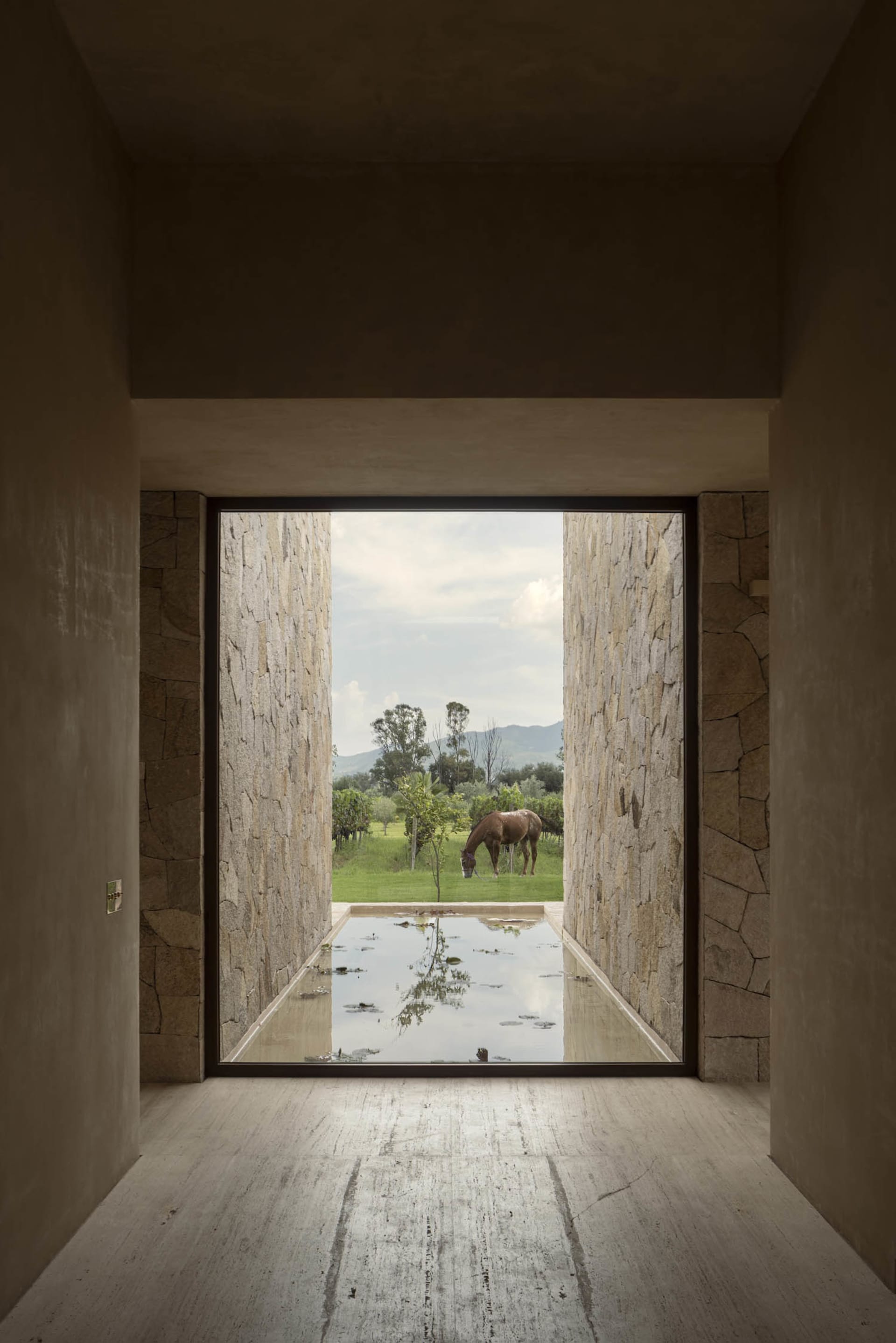 View from inside a minimalist concrete and stone room looking out through a large opening to a shallow reflecting pool, stone walls, green pasture, and a brown horse grazing with distant mountains.