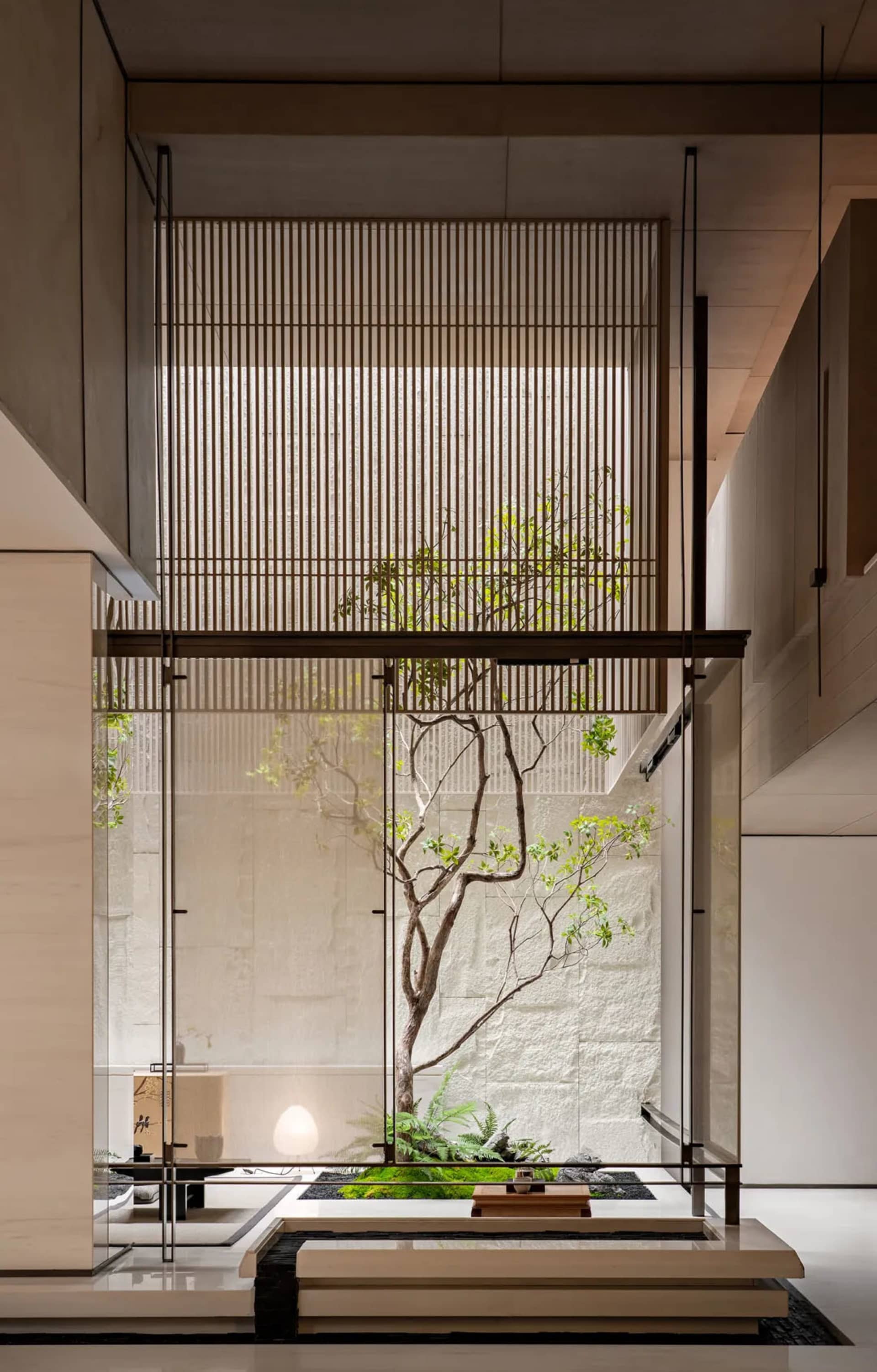 Modern minimalist indoor courtyard featuring a mature tree, white stone wall, wooden slat screens, and concrete architecture.