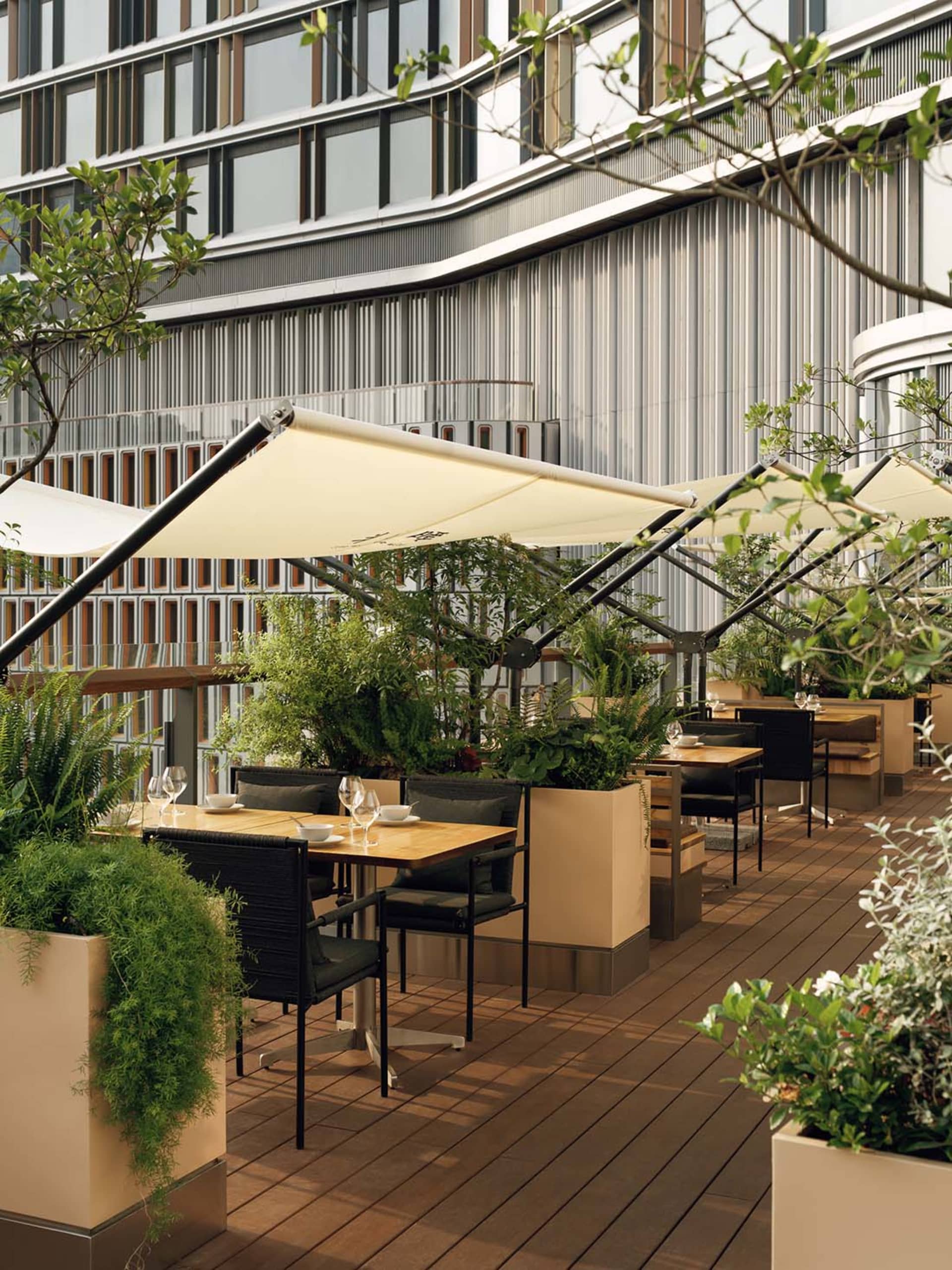 Modern rooftop terrace featuring dark wood decking, black outdoor dining furniture, large beige planters with lush ferns and greenery, and retractable beige awnings against a contemporary building facade.