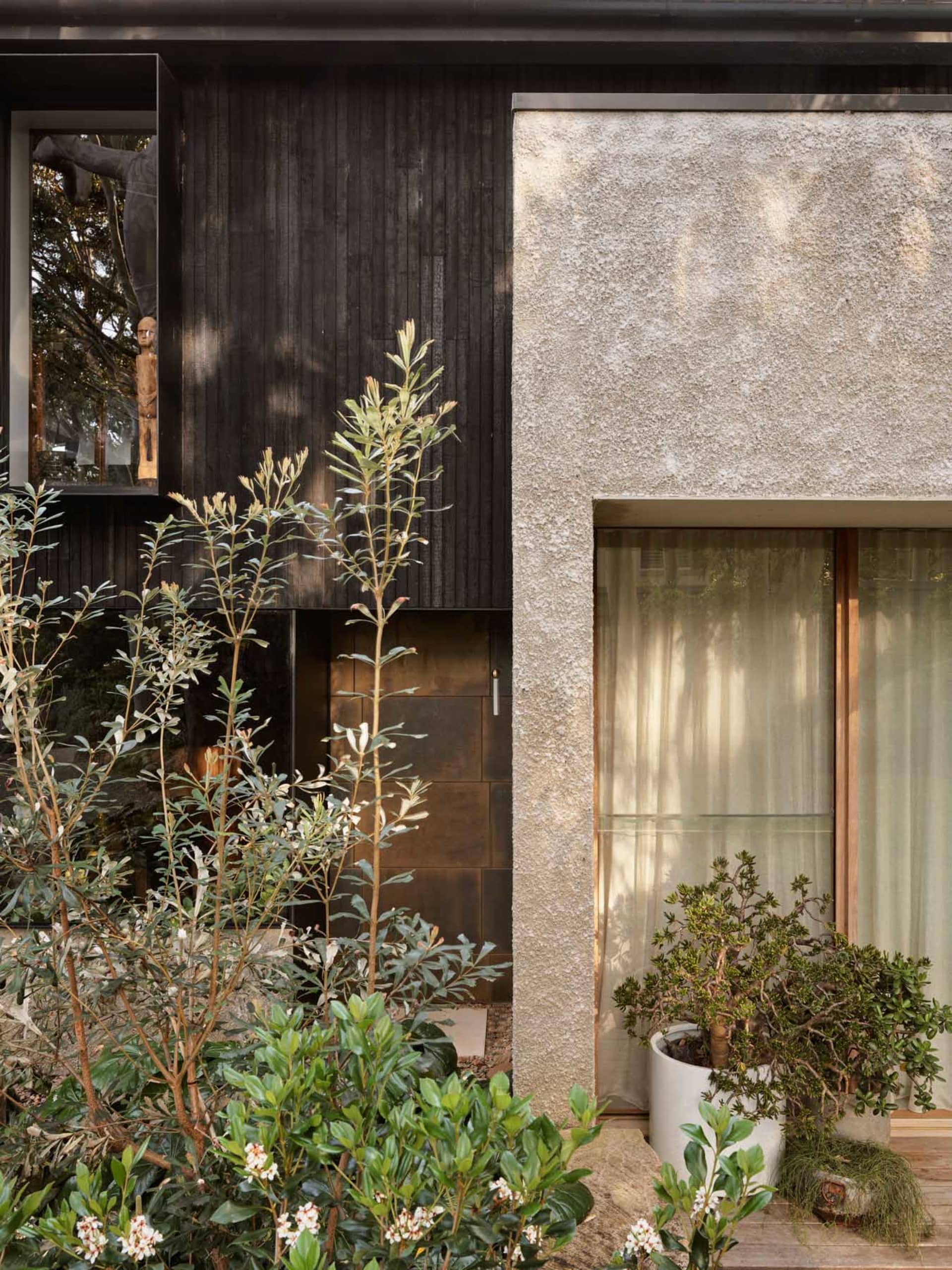Modern house exterior with charred wood cladding, textured concrete wall, wooden sculptures, potted bonsai, and lush native shrubs in a courtyard garden.