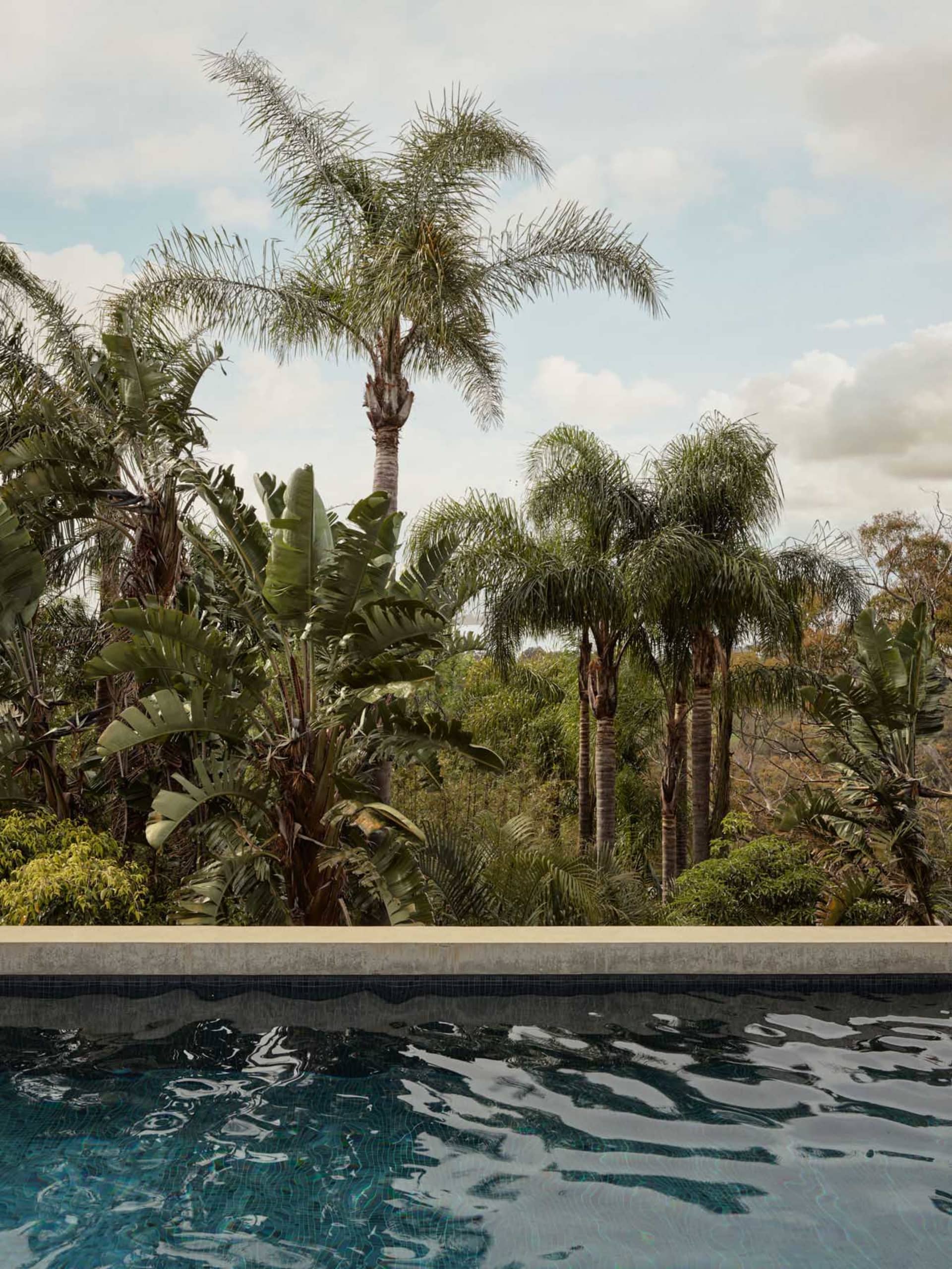 Dark tiled infinity pool with concrete coping overlooking a dense tropical garden filled with tall palm trees and large-leaf plants under a bright sky.