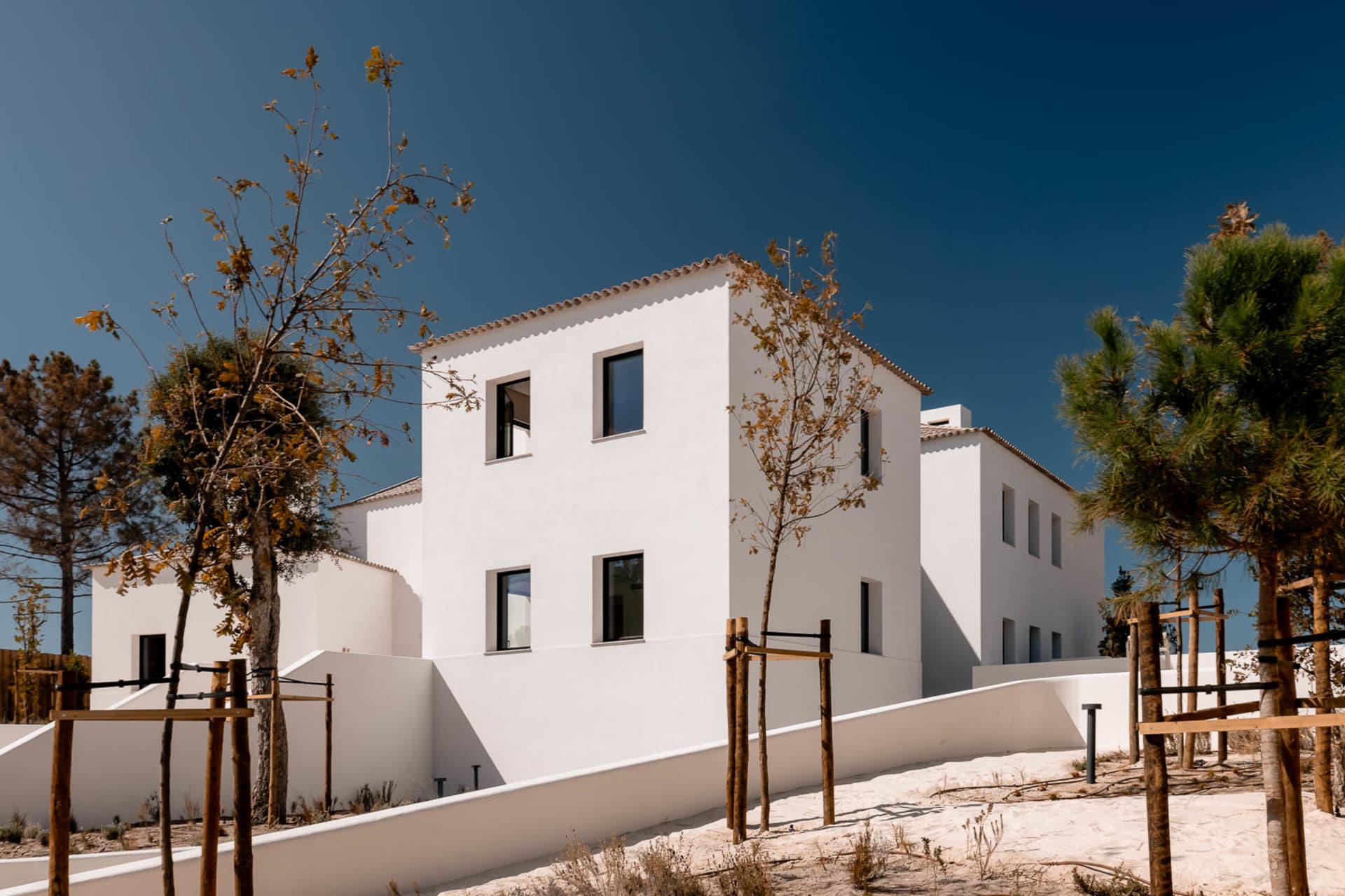 Modern white stucco Mediterranean-style villas with flat roofs and small windows, surrounded by young trees and white boundary walls on sandy ground under a clear deep blue sky.
