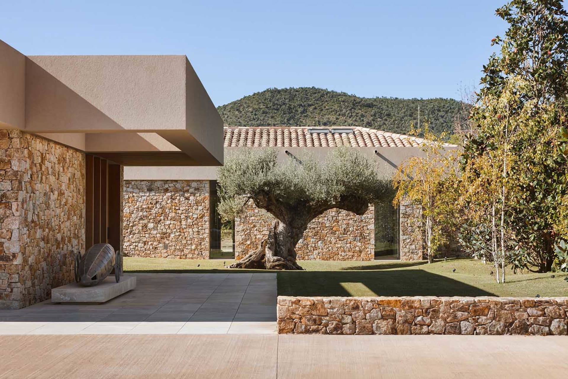 Modern stone courtyard featuring a large ancient olive tree, textured stone walls, concrete overhang, and a sculptural piece on a pedestal with rolling hills in the background.