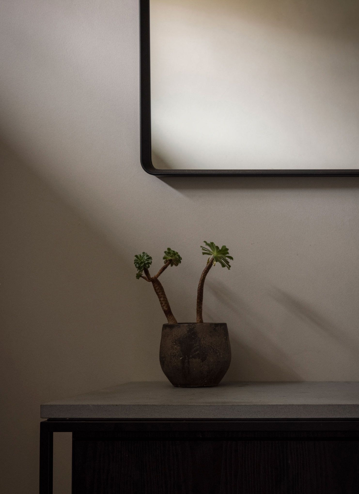 Warm minimalist small living room with mirror, plants, and layered natural textures.