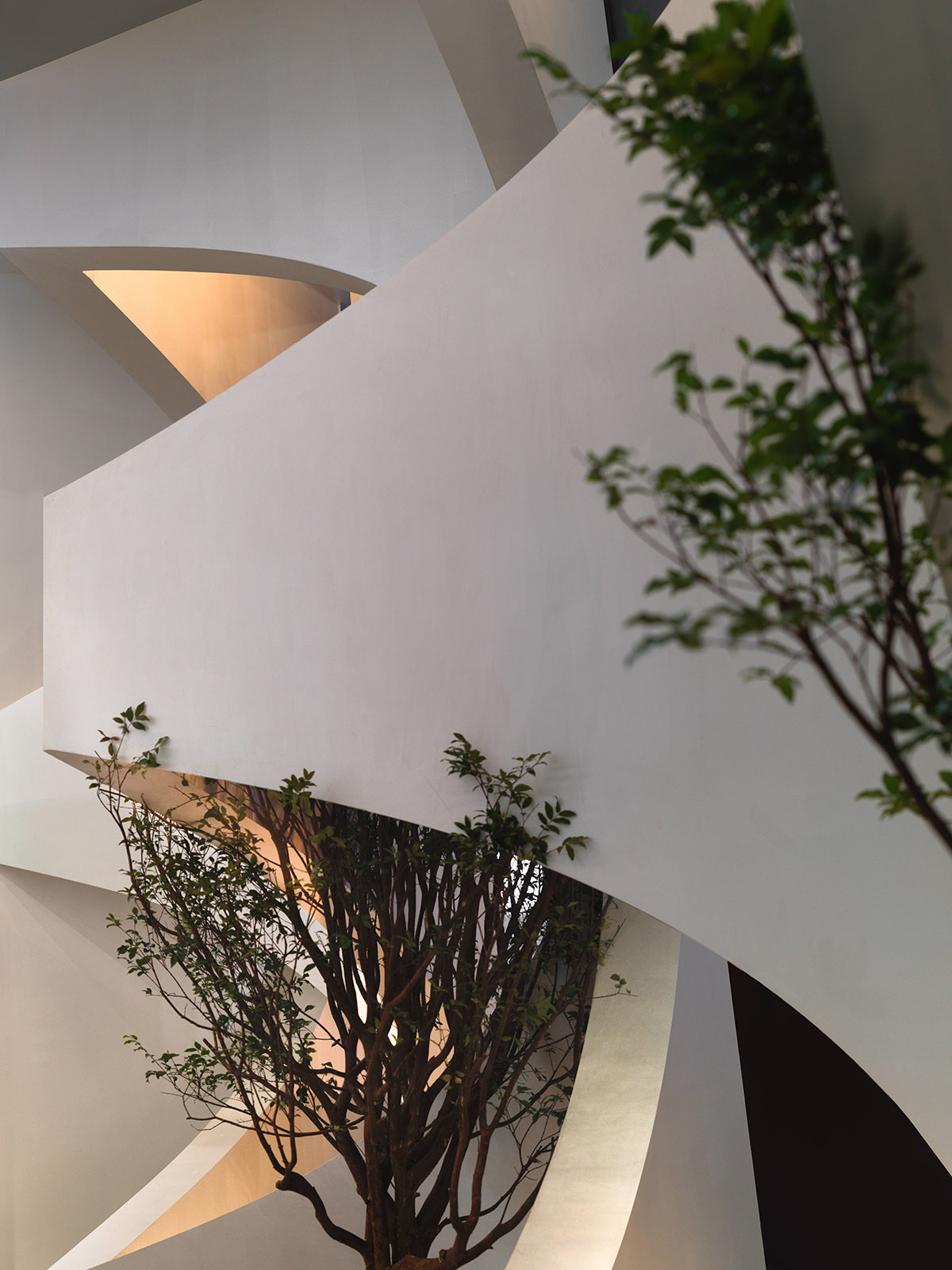 Modern Floor Plan Collection 1