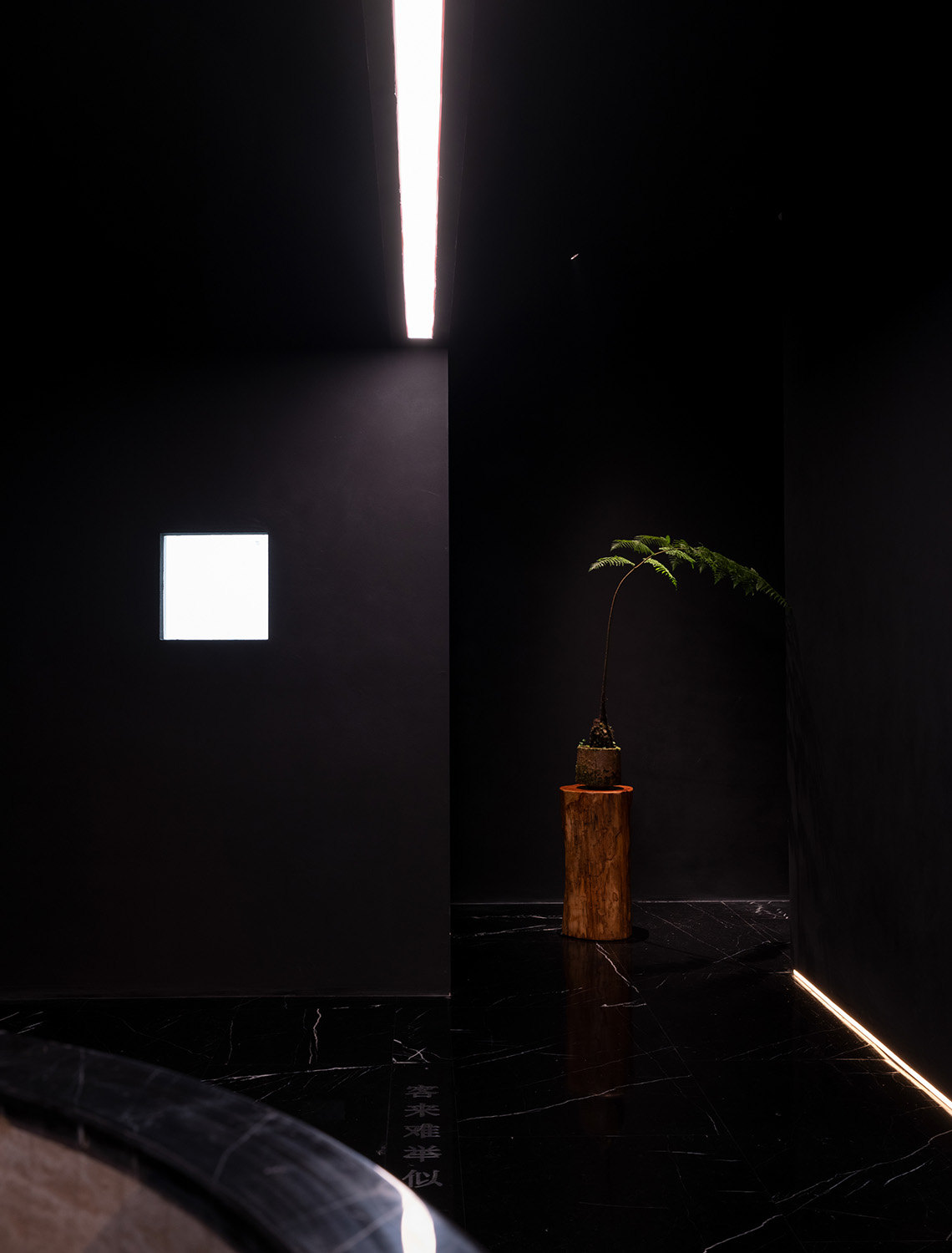 Luxurious Floor Plan Interior 4