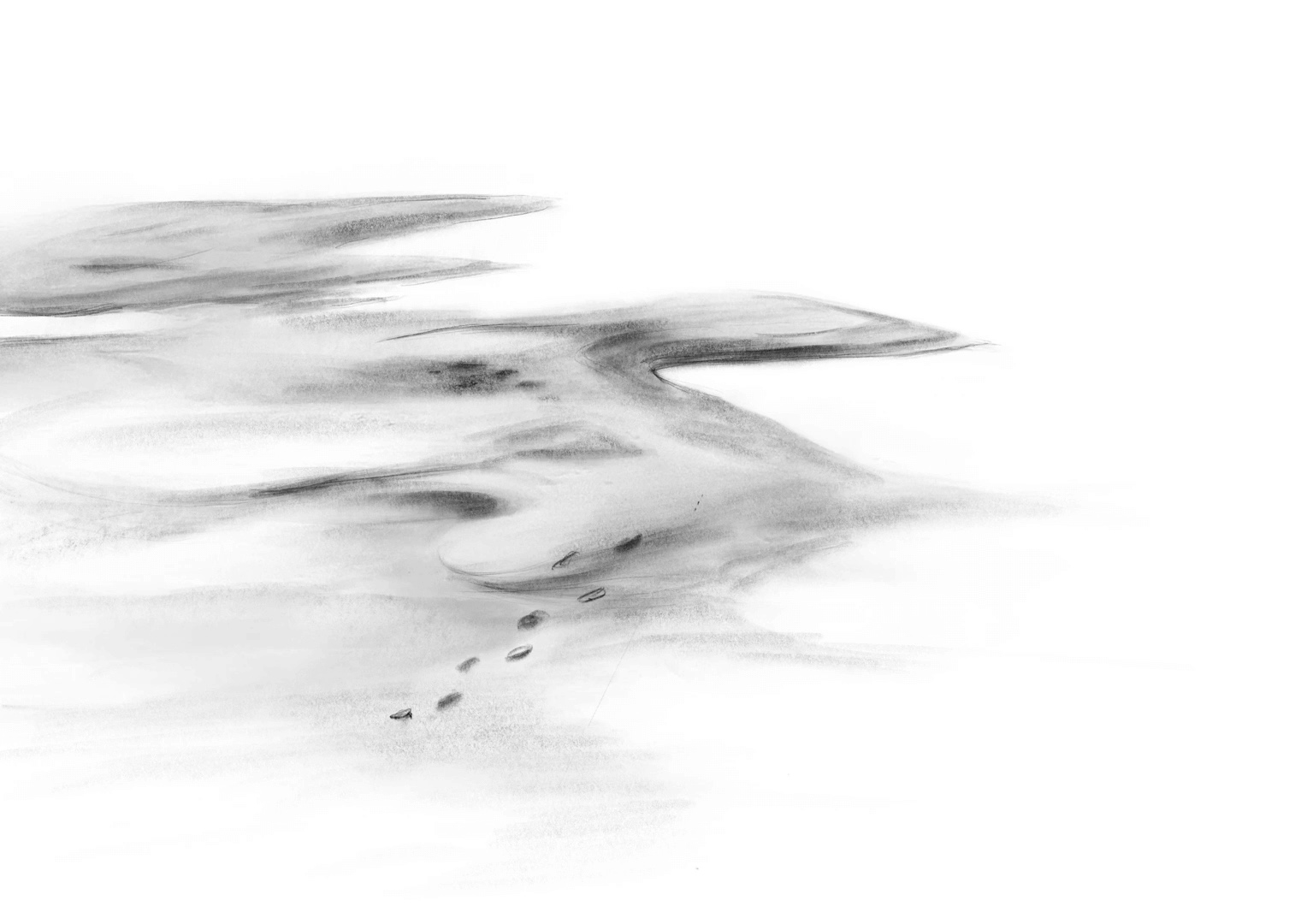 Minimalist Retail Space 1