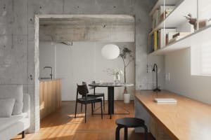 Modern living room with minimalist decor, concrete walls, and wooden furniture.