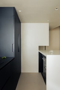 Modern kitchen with black cabinetry and minimalist design