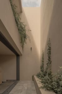 A modern interior space featuring concrete walls and greenery.