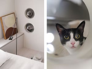 Modern, minimalist cat shelter integrated into a contemporary interior design setting.