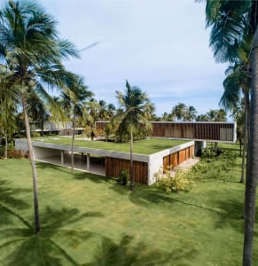 A modern minimalist house with a green rooftop surrounded by lush greenery and palm trees.