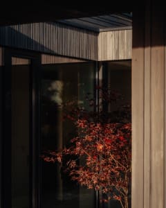 Modern residential building with wooden siding and a tree in front of it.