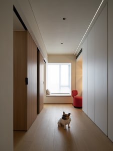 A clean, modern living space with a timber floor, minimalist design, and a French Bulldog sitting by a window seat.