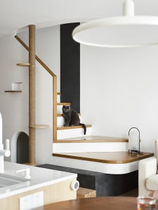 A modern minimalist living space with a cat sitting on a wooden staircase, stainless-steel accents, and a concrete floor.