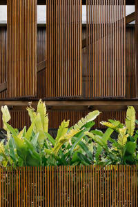 Modern architectural facade adorned with wooden panels and surrounded by lush greenery.