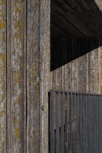 Close-up of a rustic wooden wall with lichen growth, highlighting industrial design elements.