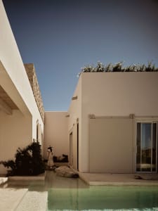 Modern house exterior with concrete walls and a rooftop garden.