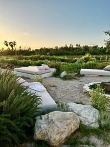 Organic outdoor lounge area with natural stone beds surrounded by greenery and rocks, set against a backdrop of trees and sun