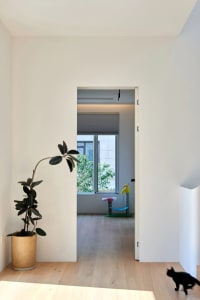 A modern interior space with wooden flooring, concrete walls, and glass elements.