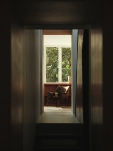 A modern window view featuring wood, a plant, and a mat.