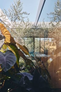 A modern interior space with glass walls and plants.