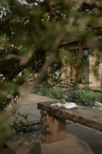 A stone bench with an open book and a fruit resting on top, set in an outdoor space with greenery and a house in the backgrou