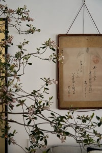 A decorative frame with Chinese calligraphy and a botanical illustration hanging on a white wall.