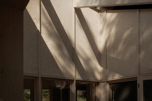 Modern interior design featuring wooden paneling and natural light.