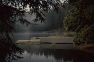 Minimalist landscape featuring natural elements such as water, trees, and grass.