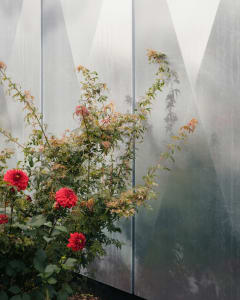 Industrial-style greenhouse frame featuring greenery against a metallic surface