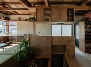 A modern residential kitchen interior with wooden cabinets, plants, and natural light.