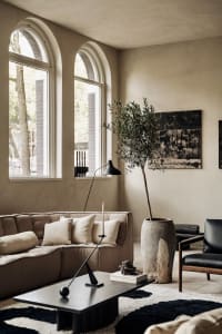 Modern living room featuring a sofa with textured fabric upholstery, a minimalist coffee table, and an olive tree in a rustic