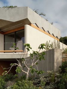A modern residential building with concrete exterior and plant life on the roof.