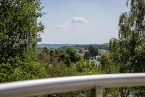 A view of an urban landscape with green spaces, buildings, and a metal railing.
