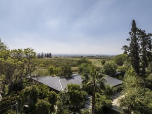 A modern residential property with a metallic roofing system surrounded by lush greenery.