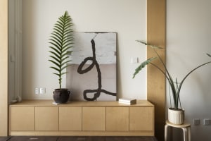 A modern interior design featuring a wooden cabinet adorned with tropical plants.