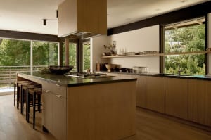 Modern kitchen with wooden cabinets, black countertop, and large windows overlooking greenery.