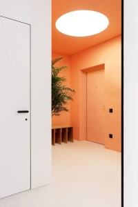 A modern entrance hall with orange walls and a white floor, featuring a large planter with greenery and minimalist furniture.