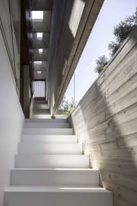 A modern interior staircase with white steps and a concrete wall, illuminated by natural light from the window.