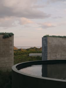 Concrete outdoor space with greenery and plants