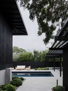 Modern outdoor pool area with concrete deck and camphor trees