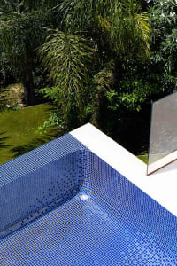 A modern pool with blue tiles surrounded by lush greenery.