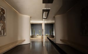 Modern, minimalist corridor with concrete walls and floor, featuring cactus plants in the background.