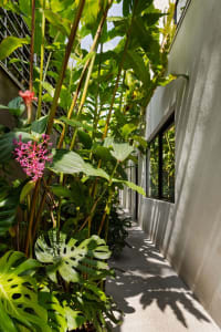 Modern residential interior with greenery and concrete materials.