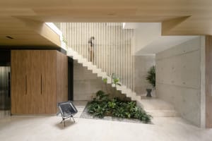 Modern interior with concrete walls and stairs, white marble stairs with plants and rocks