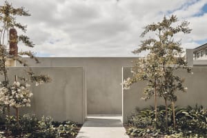 Concrete walls and pathway with flowering trees in a landscaped area.