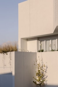 Modern white concrete exterior wall with plants and window.
